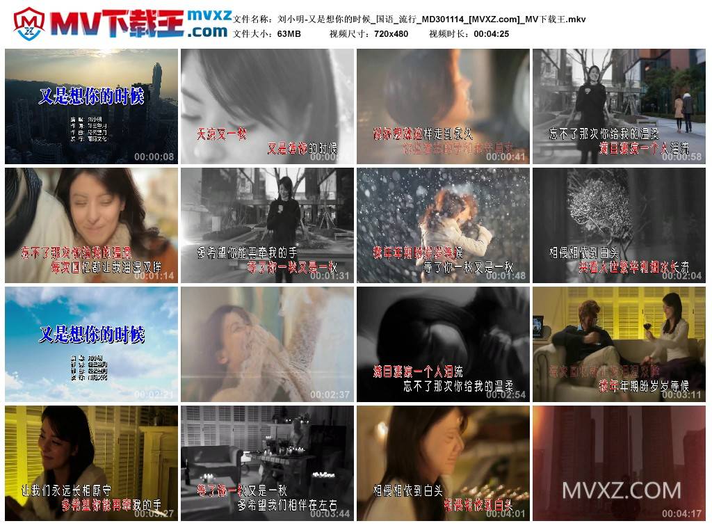 刘小明-又是想你的时候_国语_流行_MD301114